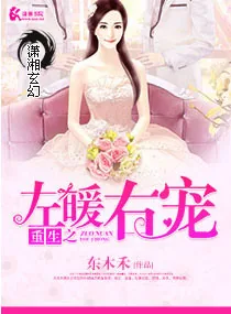 《重生之左暖右爱》小说封面