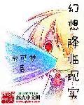 《幻想降临现实》小说封面