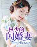 《权少的闪婚妻》小说封面