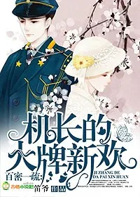 《百蜜一疏，机长的大牌新欢》小说封面