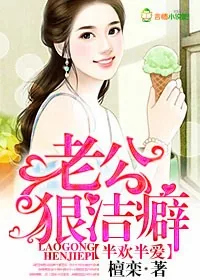 《半欢半爱，老公狠洁癖》小说封面