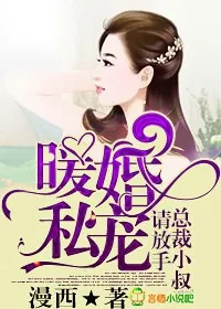 《暖婚私宠，总裁小叔请放手》小说封面