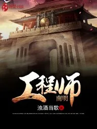 《南明工程师》小说封面