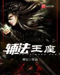 《辅法王座》小说封面
