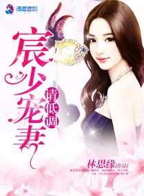 《宸少宠妻请低调》小说封面