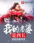 《我的老婆是酋长》小说封面