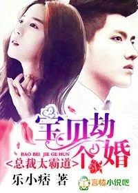 《总裁太霸道：宝贝，劫个婚》小说封面
