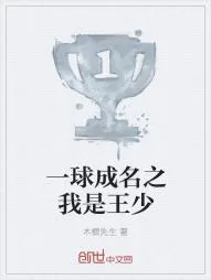 《一球成名之我是王少》小说封面