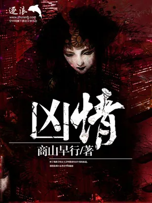 《凶情》小说封面