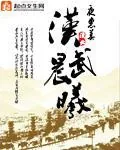 《汉武晨曦》小说封面