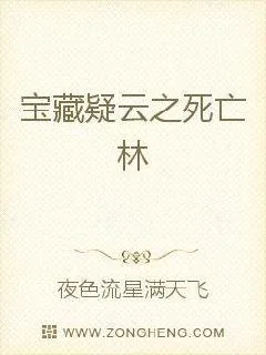 《宝藏疑云之死亡林》小说封面