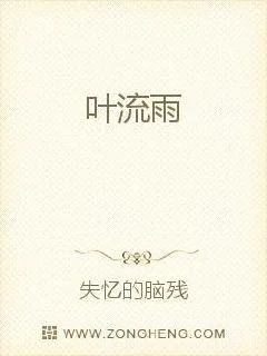 《叶流雨》小说封面
