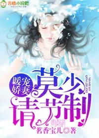 《暖宠娇妻：莫少，请节制！》小说封面