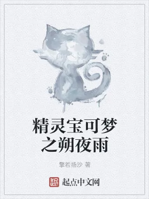 《精灵宝可梦之朔夜雨》小说封面