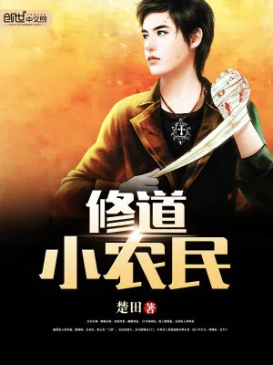 《修道小农民》小说封面