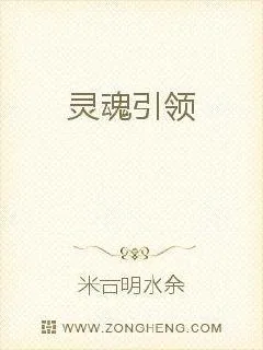 《灵魂引领》小说封面