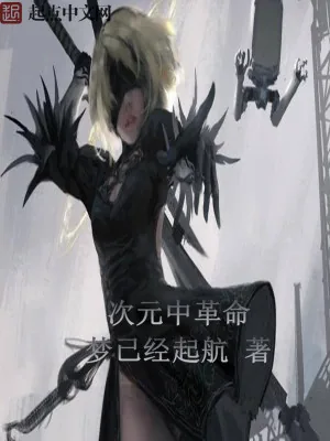 《次元中革命》小说封面