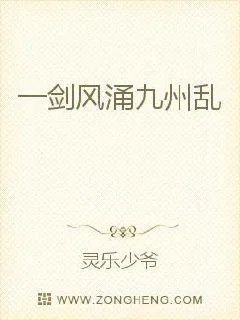 《一剑风涌九州乱》小说封面