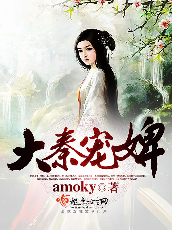 《大秦宠婢》小说封面