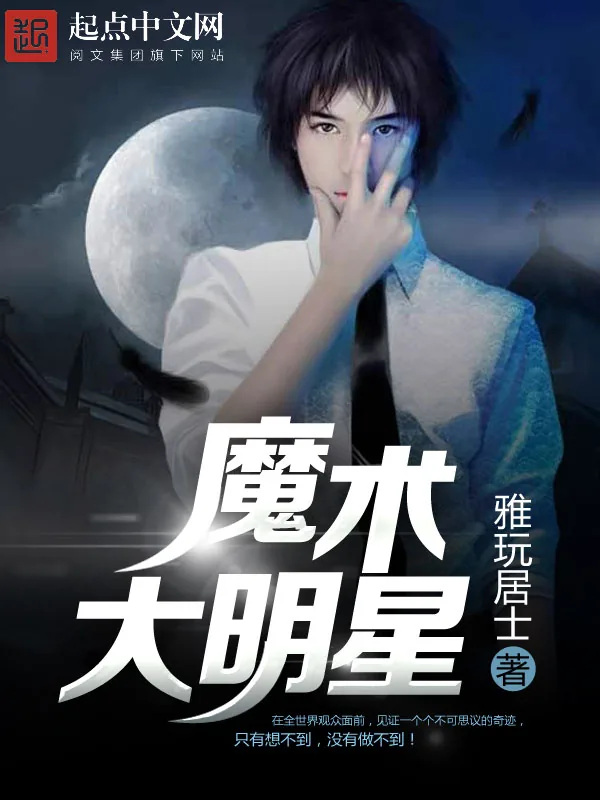 《魔术大明星》小说封面