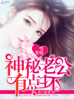 《一纸宠婚：神秘老公有点坏》小说封面