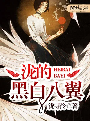 《泷的黑白八翼》小说封面
