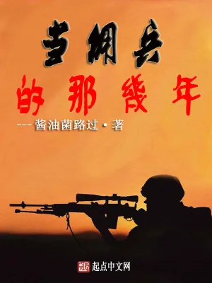 《当佣兵的那几年》小说封面