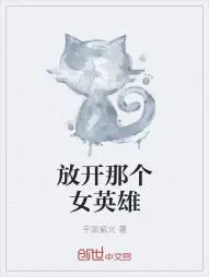 《放开那个女英雄》小说封面