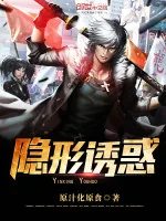 《隐形诱惑》小说封面