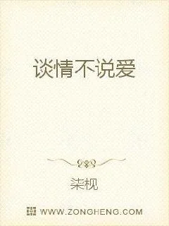 《谈情不说爱》小说封面