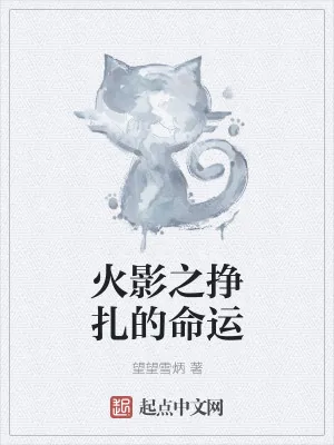 《火影之挣扎的命运》小说封面