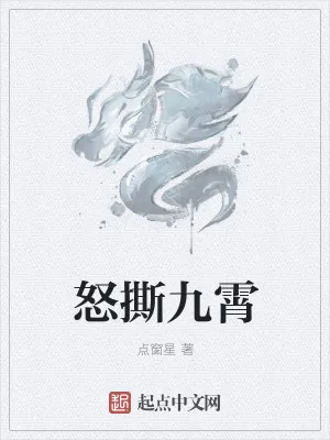 《怒撕九霄》小说封面
