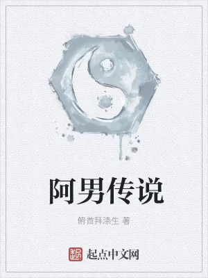 《阿男传说》小说封面