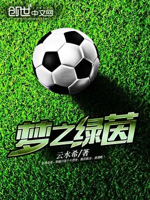 《梦之绿茵》小说封面
