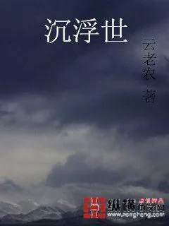 《沉浮世》小说封面