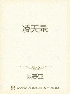 《凌天录》小说封面