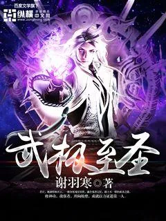 《武极至圣》小说封面