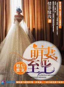 《婚后蜜宠：萌妻至上》小说封面