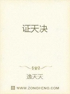 《证天决》小说封面