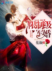 《限制级军婚》小说封面