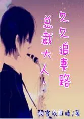 《总裁大人，久久追妻路》小说封面