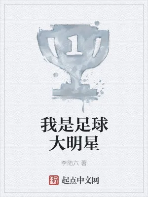 《我是足球大明星》小说封面