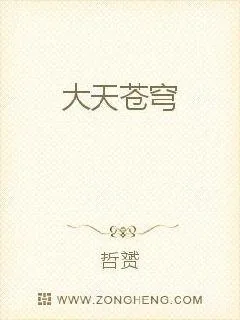 《大天苍穹》小说封面