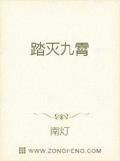 《踏灭九霄》小说封面