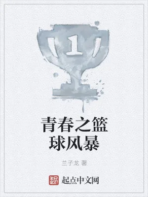 《青春之篮球风暴》小说封面