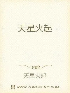 《天星火起》小说封面
