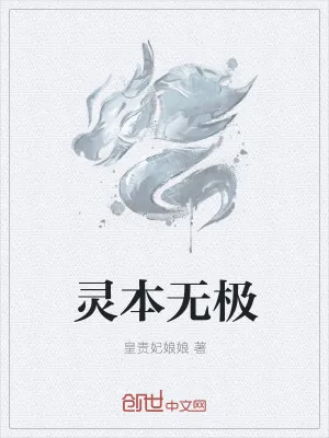 《灵本无极》小说封面