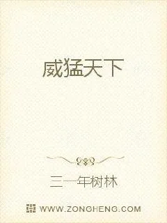 《威猛天下》小说封面