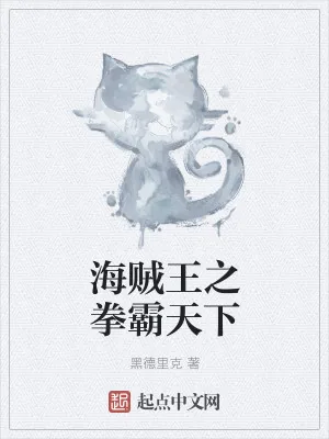 《海贼王之拳霸天下》小说封面