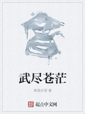 《武尽苍茫》小说封面